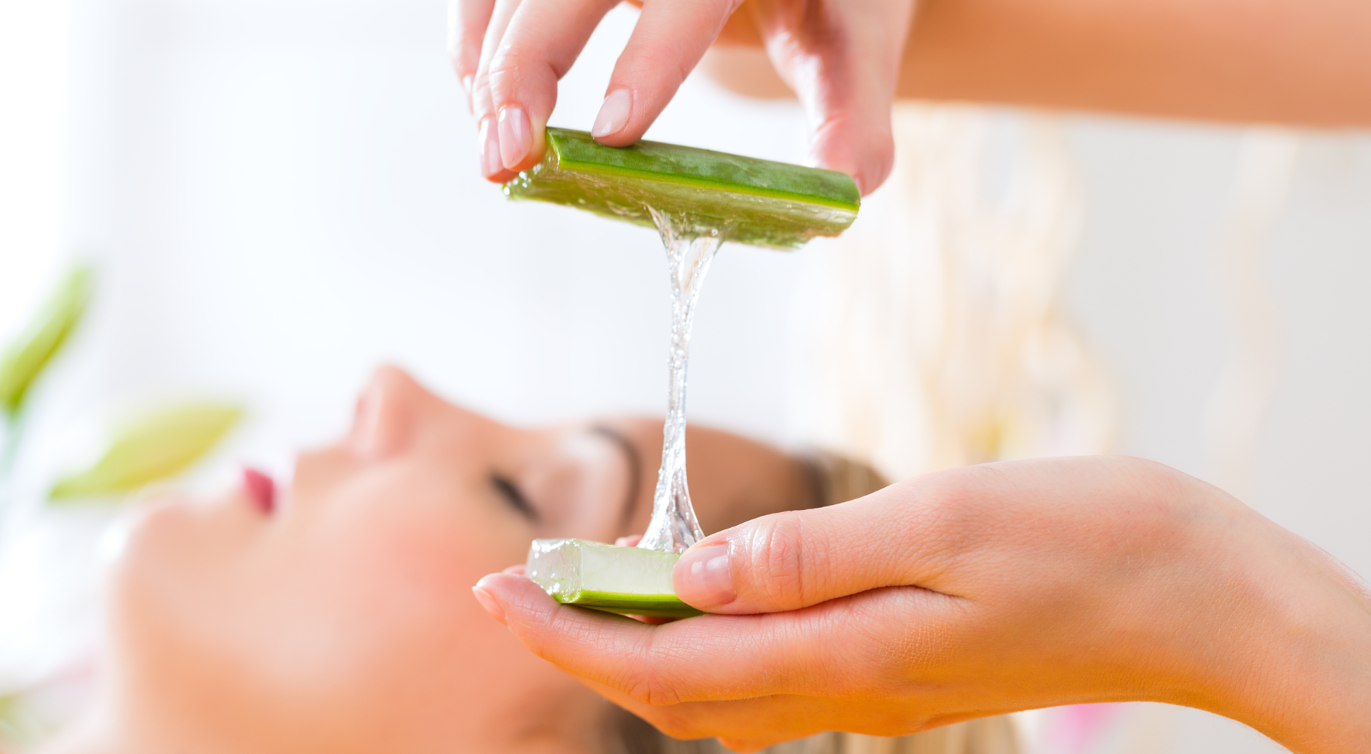 Benefits of Aloe vera for healthy skin