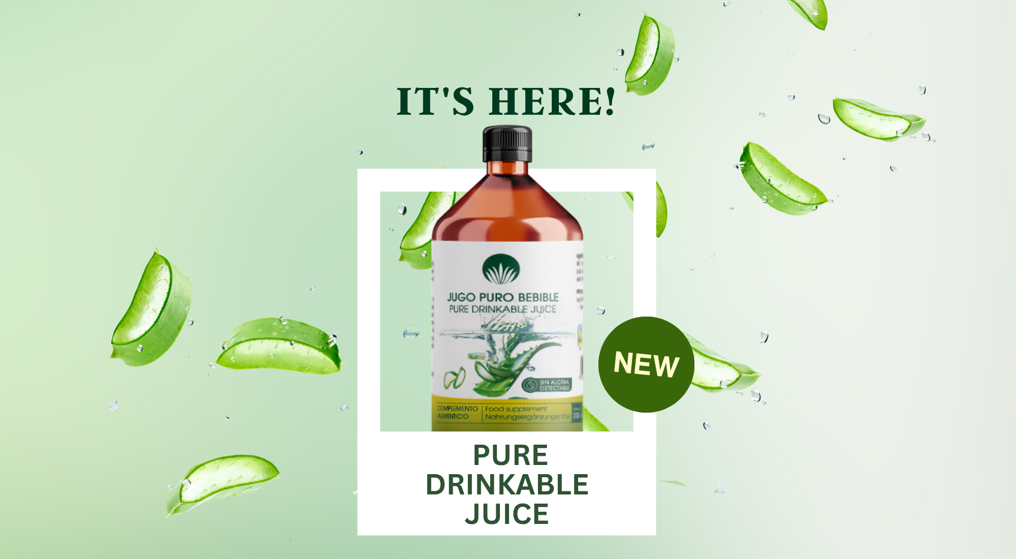 Tienda online Aloe Vera 100% Ecolgico | Lanzarote Canarias