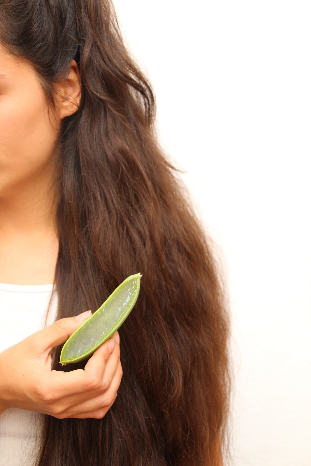 How to fight dandruff with Aloe vera