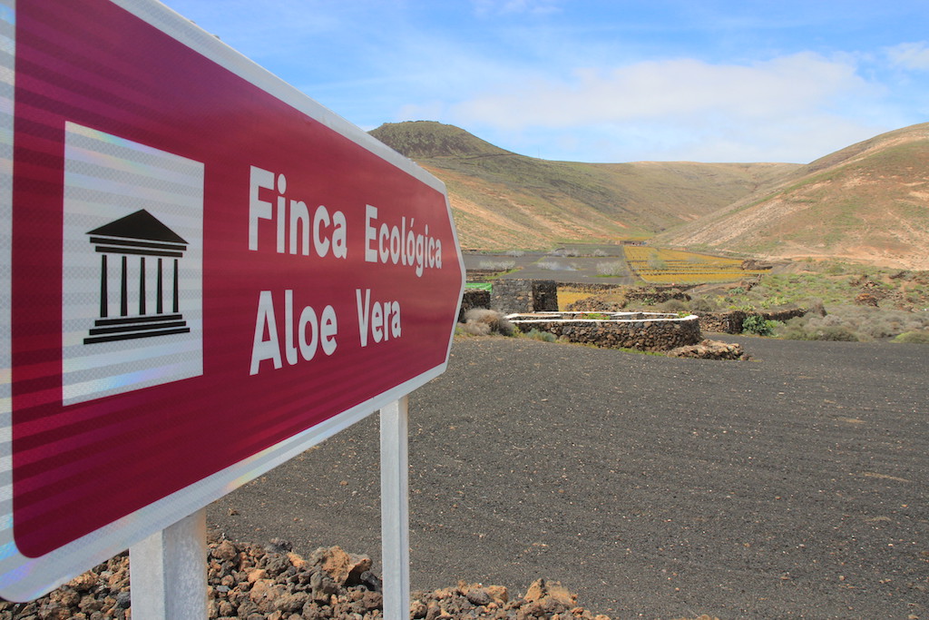 Desarrollo de la finca Lanzaloe Park