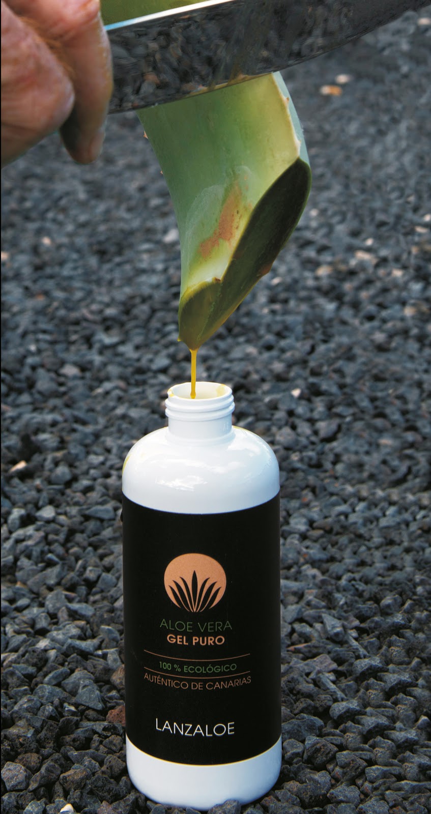 The lies of the aloe vera industry