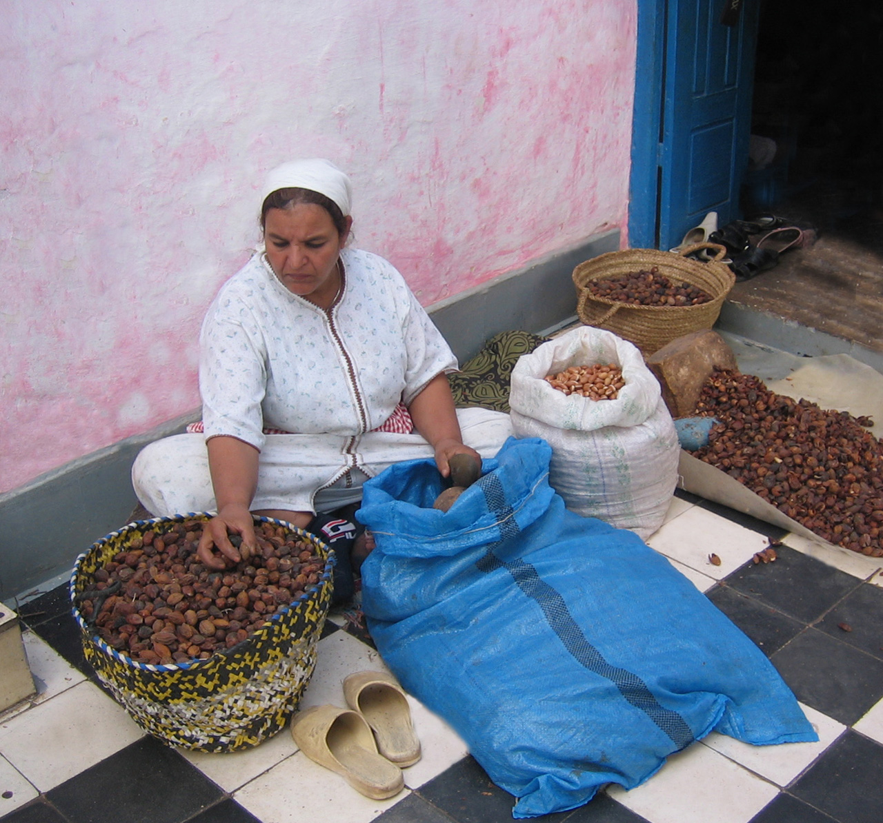 Argan, the gold of the desert