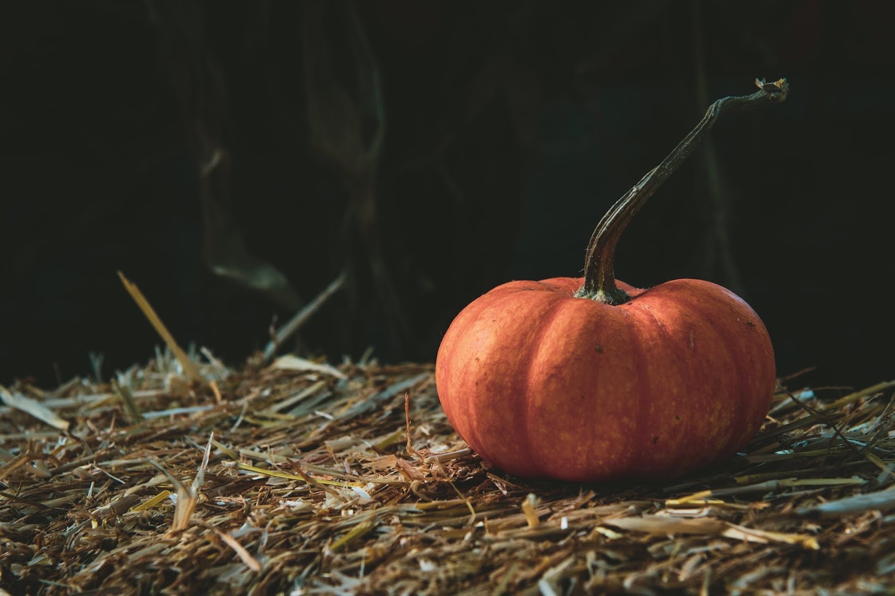 Properties of the pumpkin on the skin