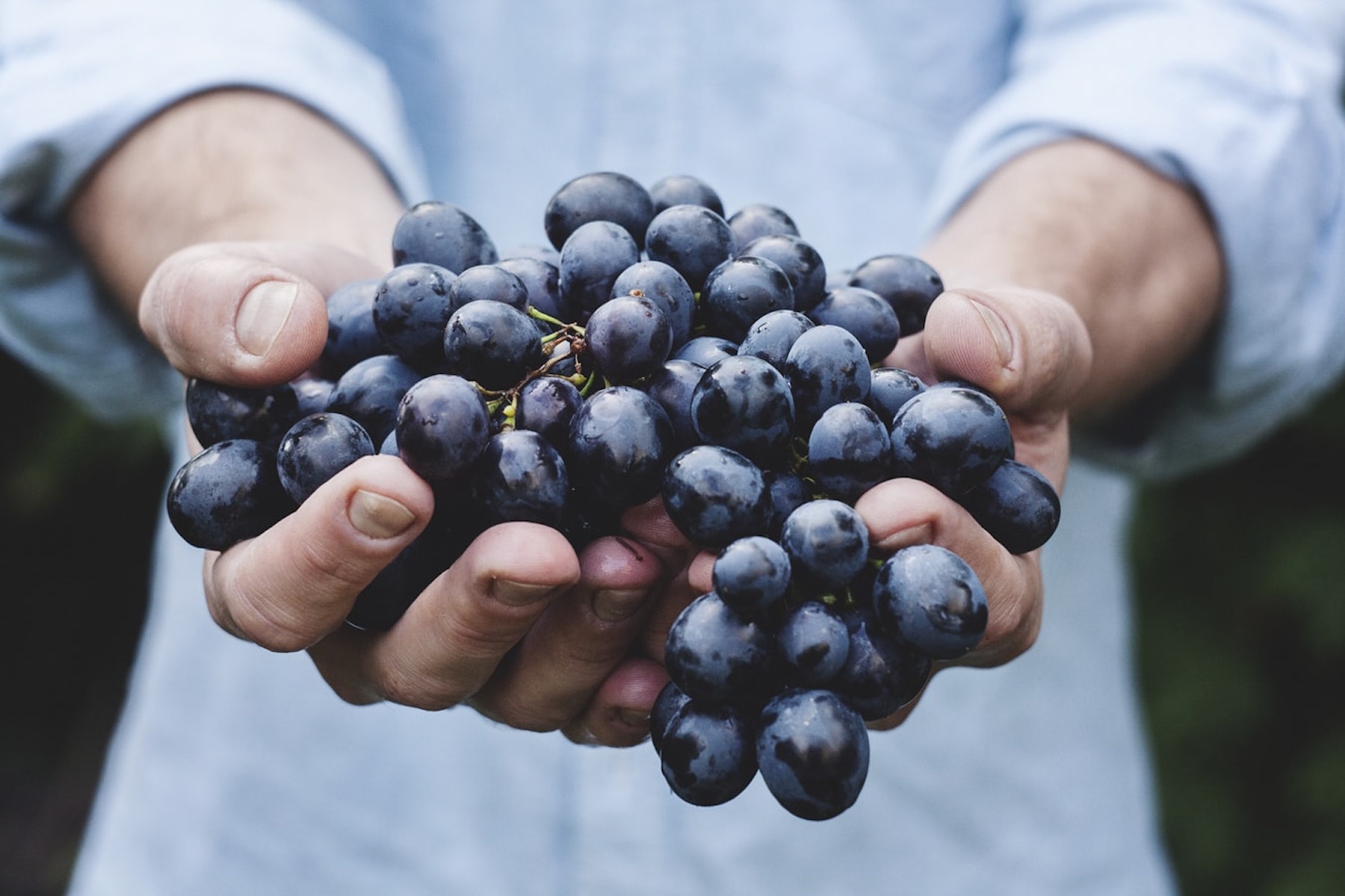 Grape seed oil for wrinkles