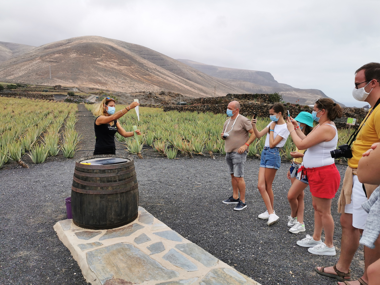 Visita la Plantación de Aloe Vera