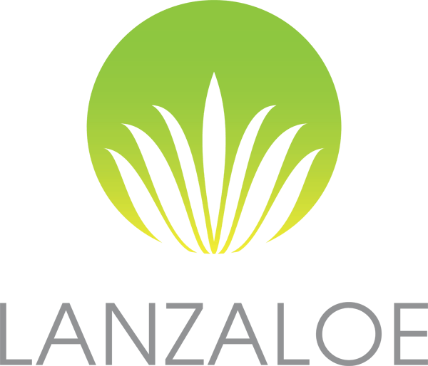 Lanzaloe